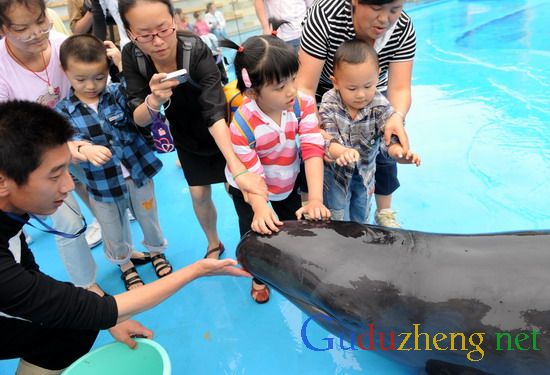 組圖：青島自閉癥患兒與偽虎鯨親密接觸