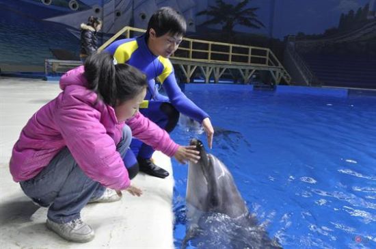 自閉兒海洋館里格外開心