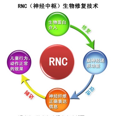 研究人員懷疑自閉癥是由基因控制，再由環境因素觸發