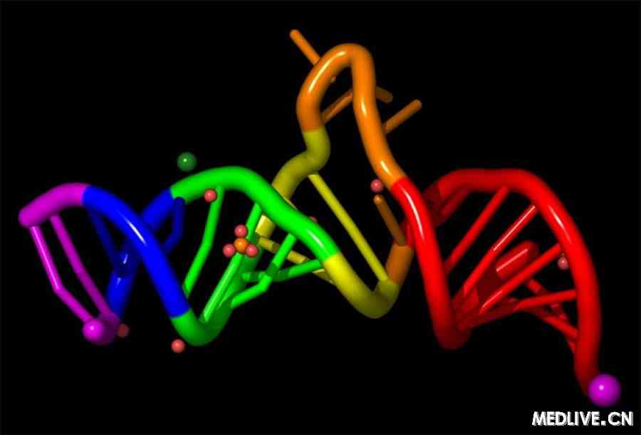 自閉癥相關的非編碼RNA