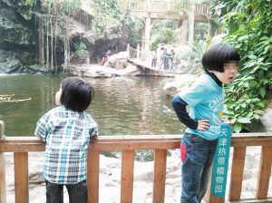 20多個自閉癥孩子在家長的陪伴下，走進了天津市“熱帶植物園”